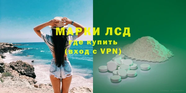 крисы Абаза
