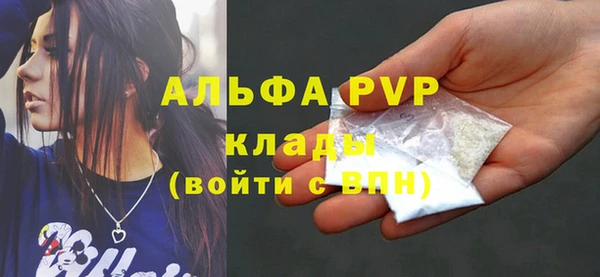 крисы Абаза