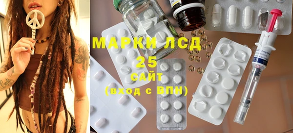 индика Вяземский