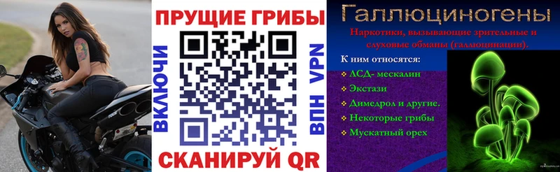 Галлюциногенные грибы мицелий  Торжок 