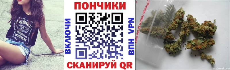 Конопля Amnesia  магазин  наркотиков  Торжок 